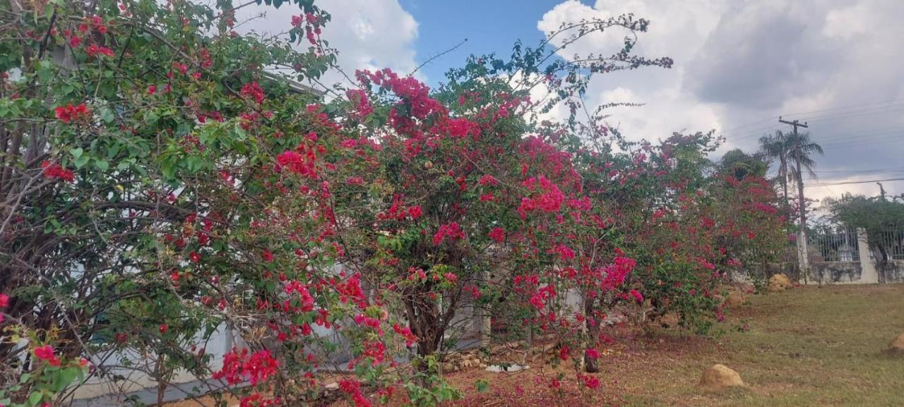 Villa De Assis Suites Alto Paraíso de Goiás Exteriér fotografie